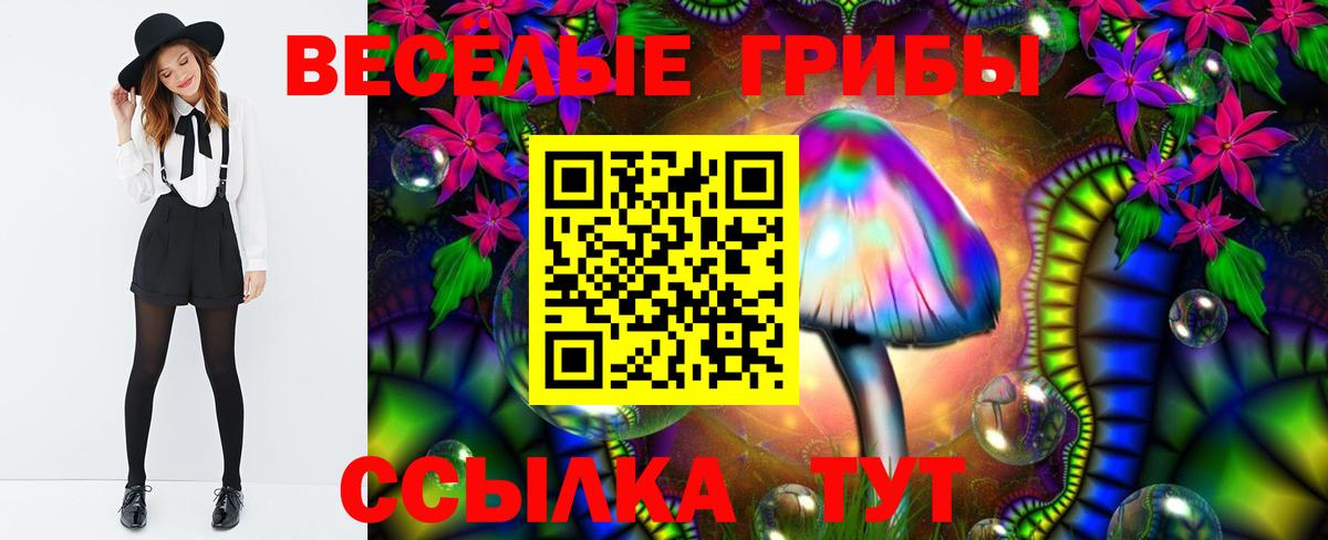 Сарапул  Псилоцибиновые грибы прущие грибы  Вход с VPN  Псилоцибиновые грибы Psilocybe 