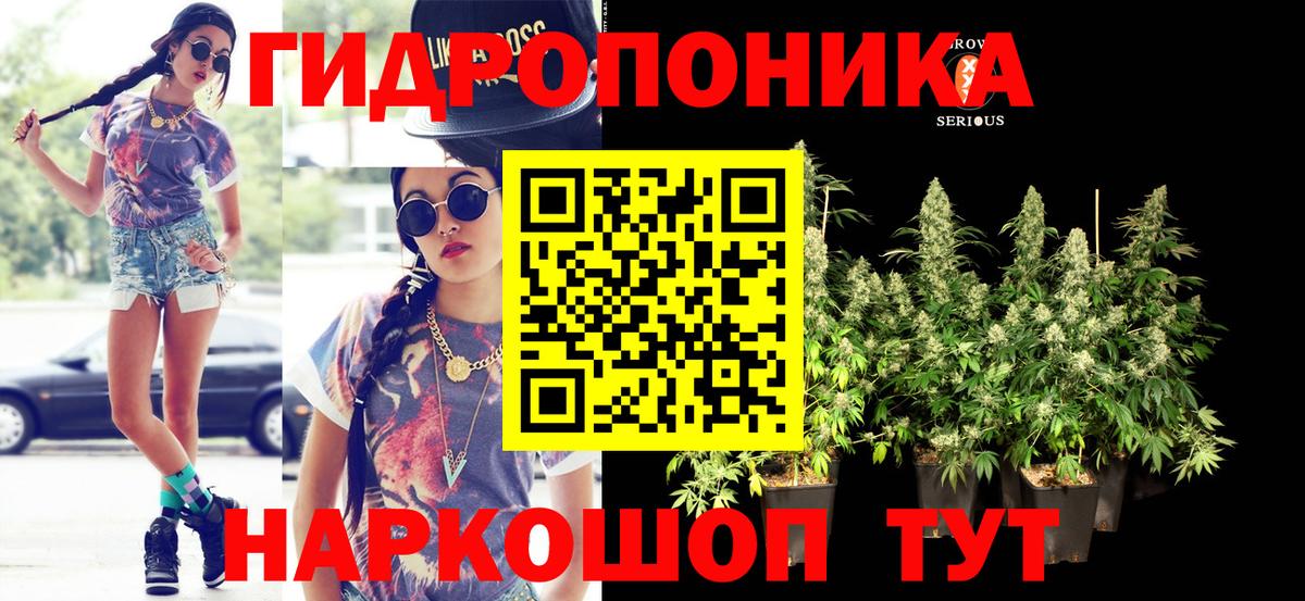 Бошки марихуана тримм  Бошки Шишки Bruce Banner  Бошки марихуана Amnesia  Сарапул  Вход с VPN  МАРИХУАНА Bruce Banner 
